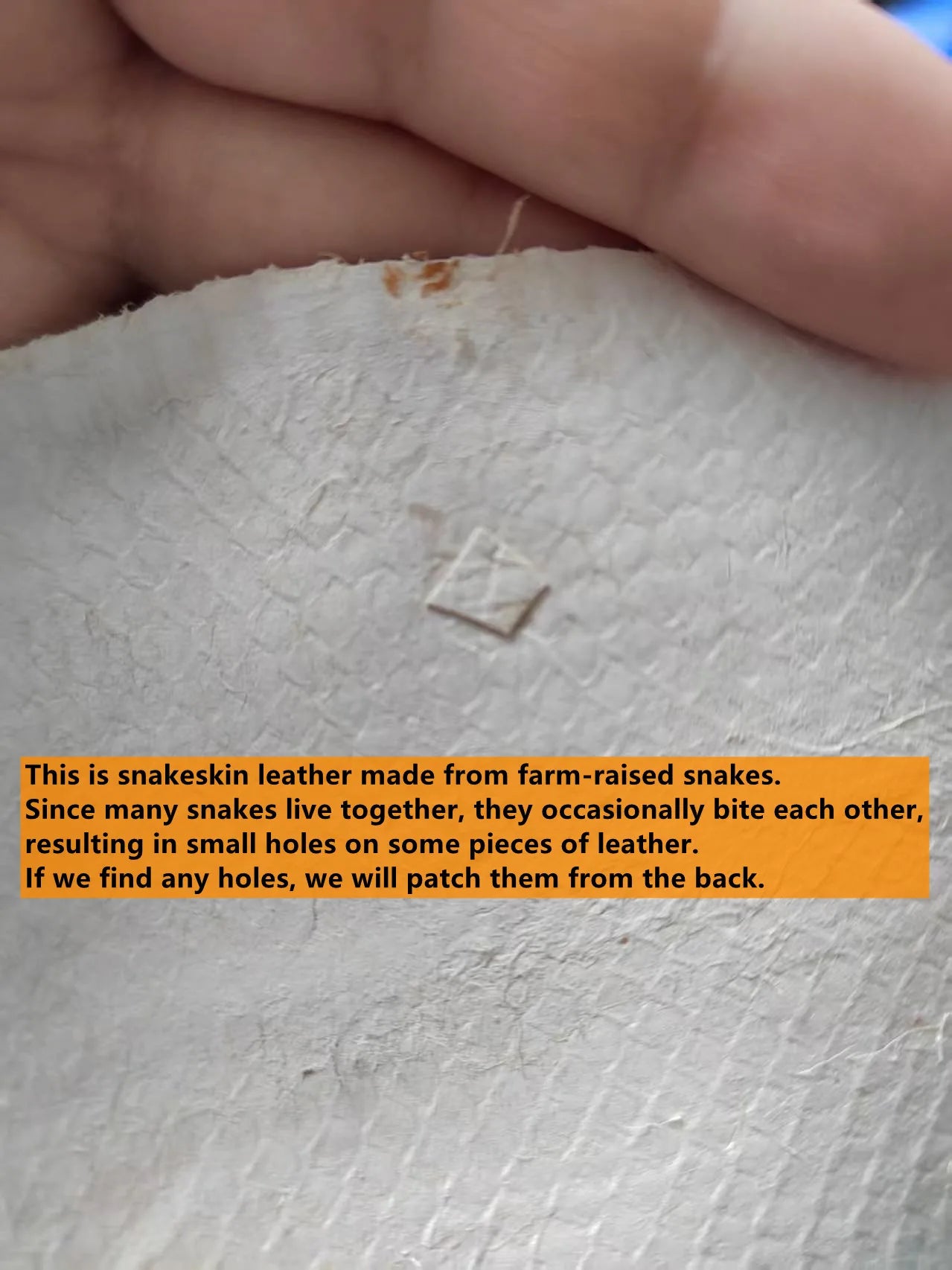 (small size)100% Genuine Natural Snake SKin Leather for Bag Purse Belt Bracelet Leather Craft Making