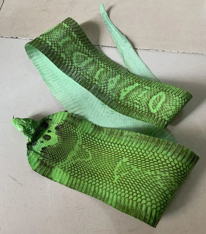 Colorful Grain Real Genuine Snake Leather Skin Whole Piece