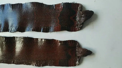Colorful Grain Real Genuine Snake Leather Skin Whole Piece