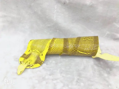 Colorful Grain Real Genuine Snake Leather Skin Whole Piece