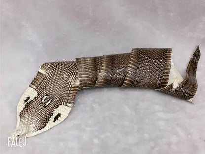 Colorful Grain Real Genuine Snake Leather Skin Whole Piece