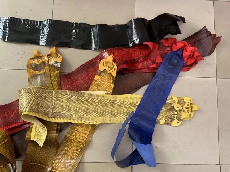 Colorful Grain Real Genuine Snake Leather Skin Whole Piece